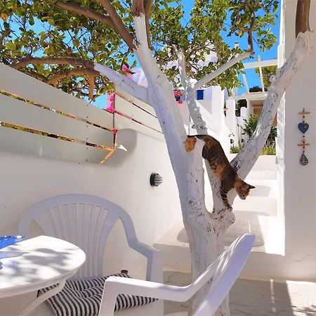 Lemon Tree Maisonette - Naoussa Paros Экстерьер фото