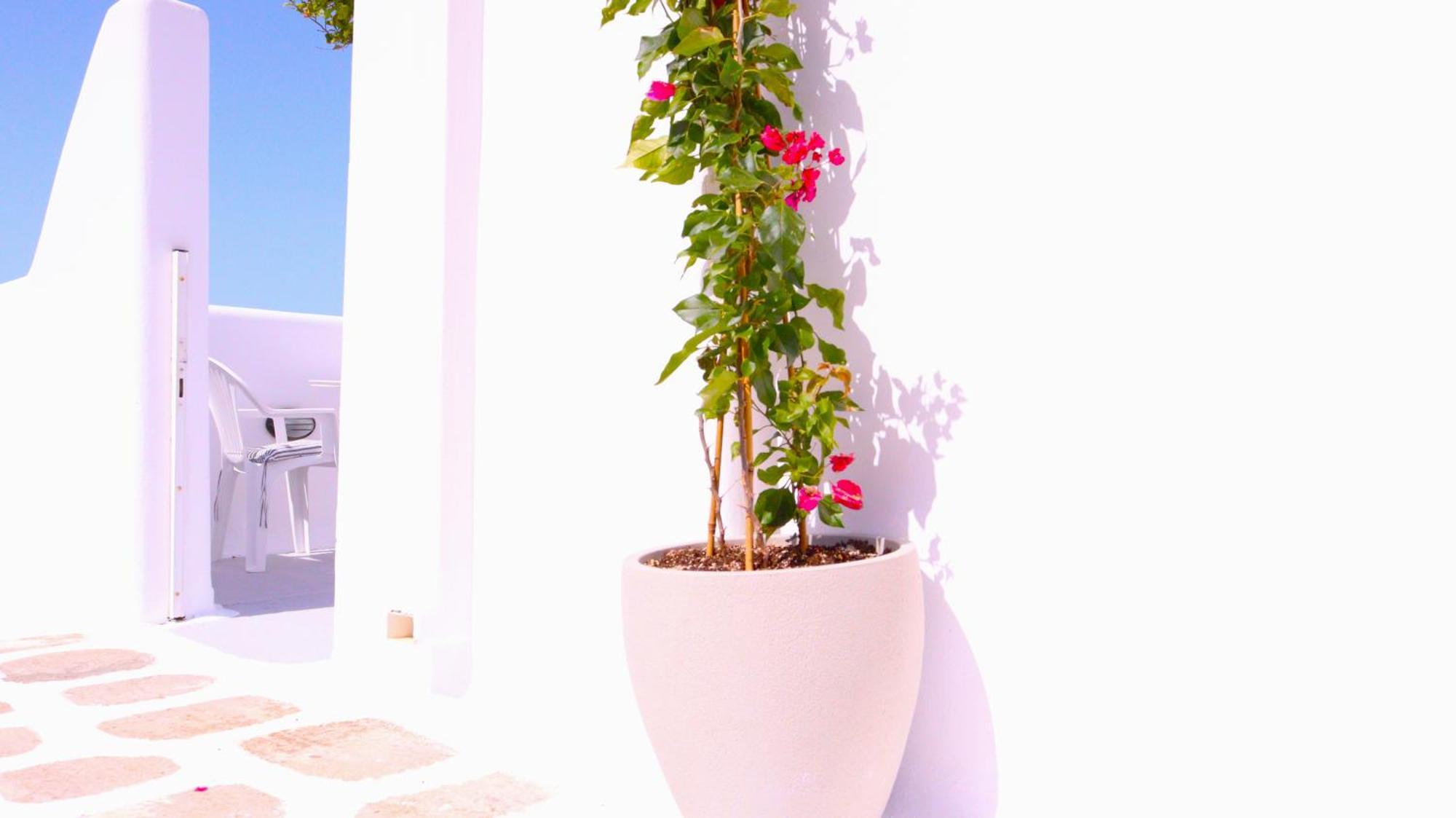 Lemon Tree Maisonette - Naoussa Paros Экстерьер фото